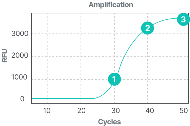 Amplification curve graph. X-axis shows cycles from 0 to 50 and Y-axis shows RFU from 0 to 3000. A turquoise amplification curve rises from baseline around cycle 30, increases steeply around cycle 40, and plateaus near cycle 50. Three labeled points are marked: 1 at the beginning of the rise, 2 during the steep increase, and 3 at the plateau.